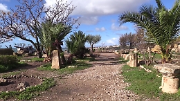 Selinunte, nel Parco archeologico il Giardino dedicato a Vincenzo Tusa e Aldina Cutroni