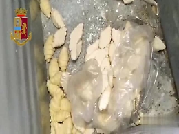 Catania, il bar di via Dusmet e le blatte dappertutto