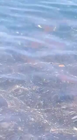 Recanati: mare balneabile?