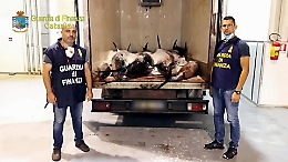 Catania, il video del tonno rosso sequestrato a Ognina dalla Gdf