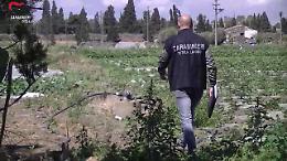 Operai sfruttati, sottopagati e senza ferie: arrestati soci di azienda agricola catanese