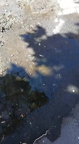 Catania: la fontanella di piazza Lanza perde acqua da mesi
