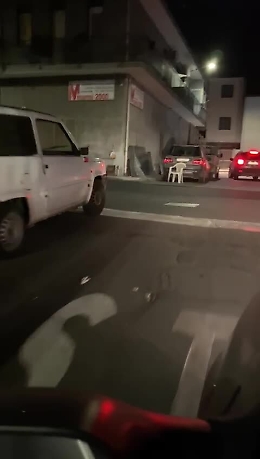 Piano Tavola-Belpasso: branco di cani randagi in giro per il paese