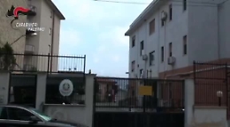 Palermo, sequestrata piantagione di marijuana "alimentata" rubando la corrente