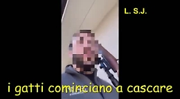 Operazione Minecreaft, nel video della polizia l'intimidazione con il gatto ucciso a fucilate