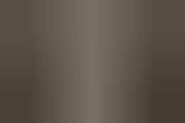 Catania, il canile-rifugio era un lager: la polizia libera 55 animali