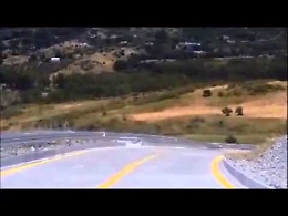 La trazzera del M5S, ecco com'è