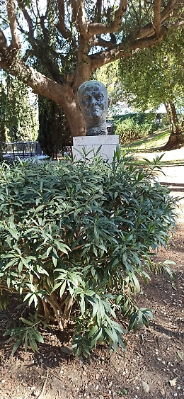 Catania, Villa Bellini: pianta cela il nome di Boggio Lera