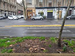 Catania: cordolo in Viale Vittorio Veneto