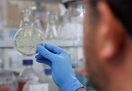 La Variante Delta fa risalire i casi in Italia e Caltanissetta è "osservata speciale"