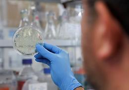 Covid, la variante nigeriana isolata anche in Sicilia in un migrante di 16 anni