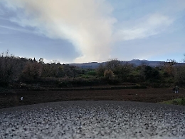 Etna, altri danni da cenere e lapilli a campagne e colture