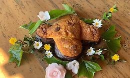 Colomba artigianale: un lievitato soffice e gustoso