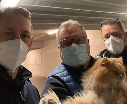Ritrovato il gatto Gris&ugrave;: capotreno lo scambia per randagio e lo fa scendere