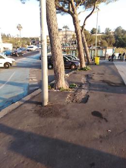 Catania, Ognina stamattina alle 7.30, nuovamente  pulita