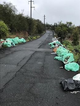 Spaventoso spettacolo lungo la strada per l’Etna, versante Filiciusa Milia
