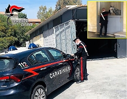 Catania, dopava cavalli per corse clandestine: denunciato 50enne