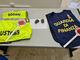 Arriva dalla Tunisia con due tartarughe di specie protetta, denunciato lampedusano