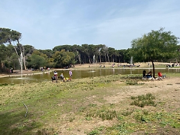 Catania: un boschetto per le famiglie