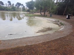 Catania, riqualificazione boschetto Playa: "Andiamo proprio bene"