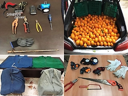 Paternò, controlli contro le razzie nelle campagne: undici denunciati