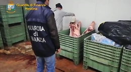Sequestrati a Mongiuffi Melia macello e allevamento clandestini
