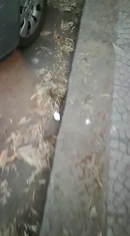 Catania, pulizia delle strade: storia di un'abitudine dimenticata