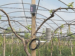 SmartIsland, l’agricoltura 4.0 diventa realtà anche in Sicilia