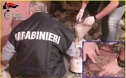 Catania, preso in casa di un parente uno dei trafficanti di droga del clan Nizza