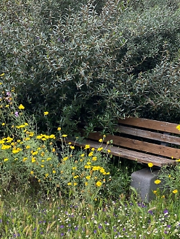 Parco Gioeni: "Perché tutto quello che si crea a Catania muore?"