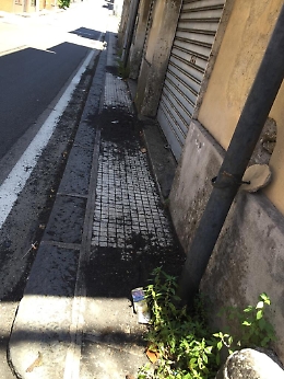 Zafferana Etnea: il viale Libertà non è stato ancora ripulito