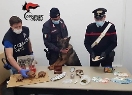 Droga e animali rari in casa di una famiglia a Erice: due arresti