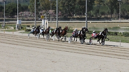 A Palermo riapre l'Ippodromo della Favorita ma a porte chiuse