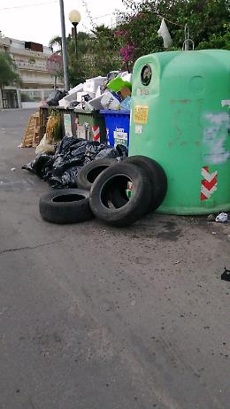 Catania, via Borgetti: "Siamo alle solite"