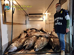 Catania, 3,3 tonnellate di tonno rosso e pesce spada sequestrati nel porticciolo di Ognina