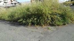 Catania: sterpaglie a rischio incendio in via Mandrà