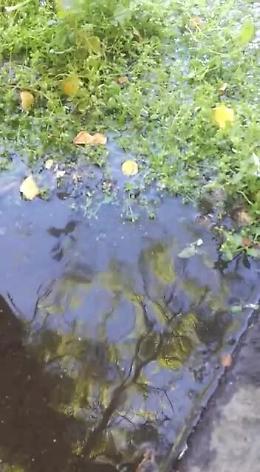 Catania: copiose perdite d'acqua al viale M. Rapisardi e in P.zza S M. Di Gesù