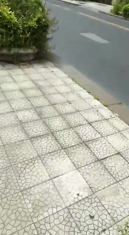 Catania: la manutenzione verde è solo un ricordo...