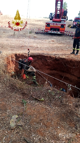 Caltagirone, salvata dai vigili del fuoco la cagnetta caduta in un fossato profondo 25 metri