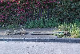 Viale M. Polo, quartiere Borgo-Sanzio (Ct): marciapiedi sommersi dalle erbacce