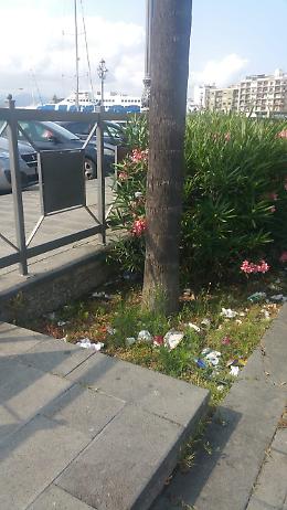 Porto Milazzo: aiuole usate come pattumiere