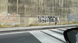 Catania: abbandonate le aiuole che costeggiano il PalaCatania