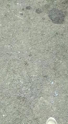 Catania: strisce pedonali sbiadite al largo Paisiello