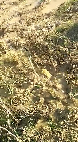 Giardina Gallotti (Ag): perdita alla condotta idrica di contrada Medolazza