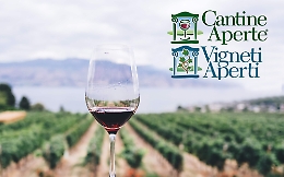 Vigneti aperti, il bis di Cantine aperte, con la Sicilia ancora "gialla"