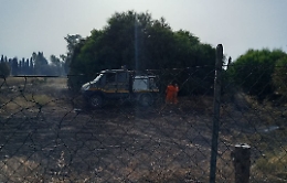 Incendio lambisce vivaio, paura a San Francesco la Rena