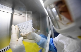 Covid, ministero avvia nuova indagine rapida sulle varianti in Italia