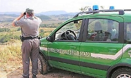 Famiglia catanese si perde nei boschi di Belmonte Mezzagno, salvata dalla Forestale