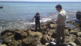 Palermo, torna l'alga tossica sul lungomare: ecco i rischi per chi fa il bagno