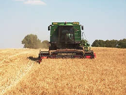 Canicatt&igrave;, la trebbiatura dei cereali nelle terre confiscate alla mafia